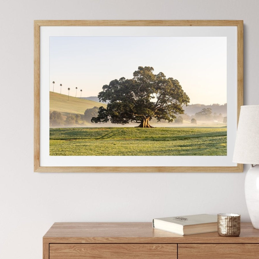"Fountaindale Beauty" Photography Print - Belinda Doyle - Australian Photographer & Resin Artist