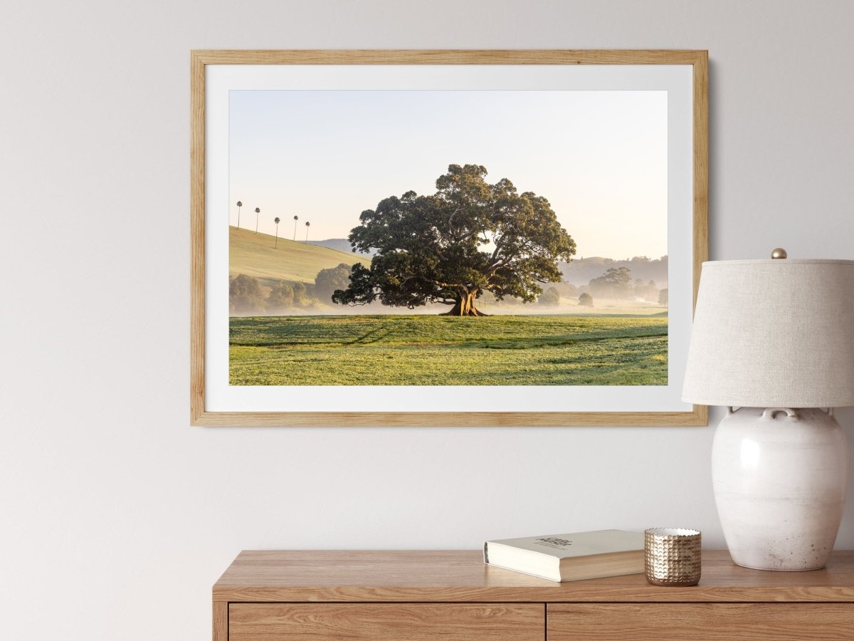 "Fountaindale Beauty" Photography Print - Belinda Doyle - Australian Photographer & Resin Artist