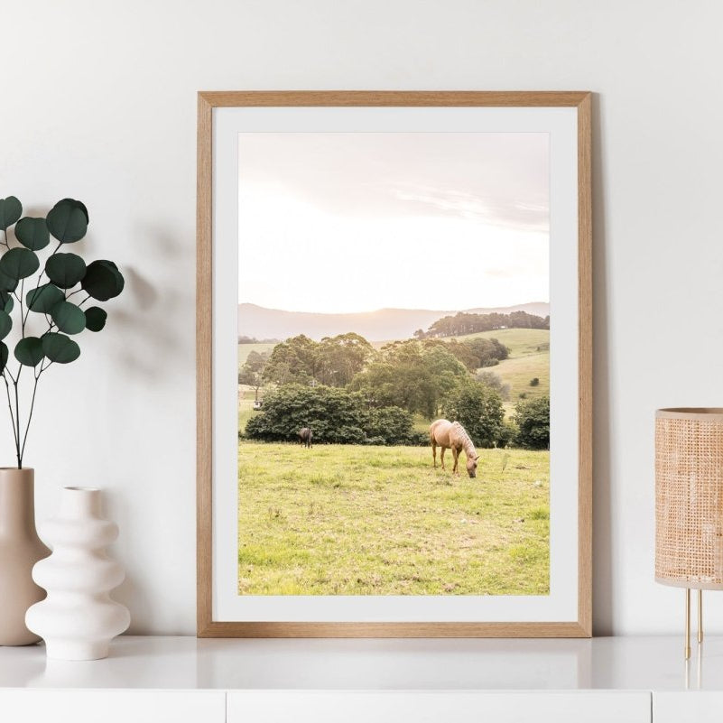 "Gibsons Light" Photography Print - Belinda Doyle - Australian Photographer & Resin Artist