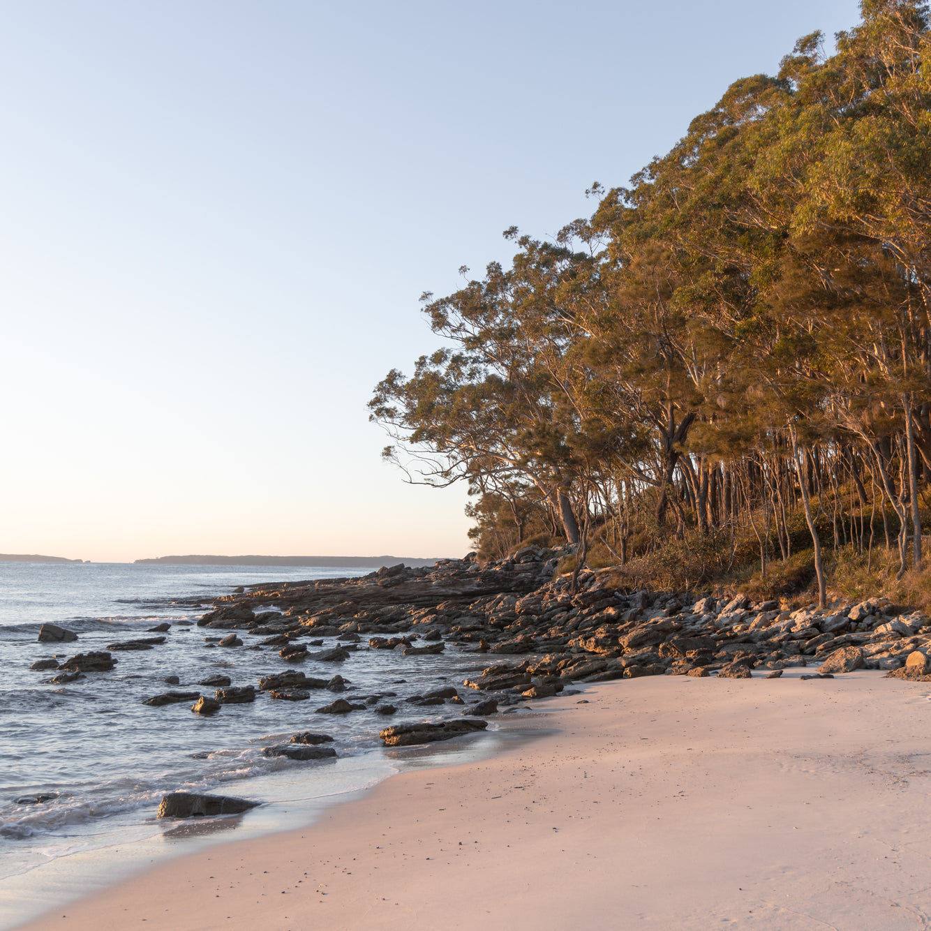 "Golden Greenfield" Photography Print - Belinda Doyle - Australian Photographer & Resin Artist