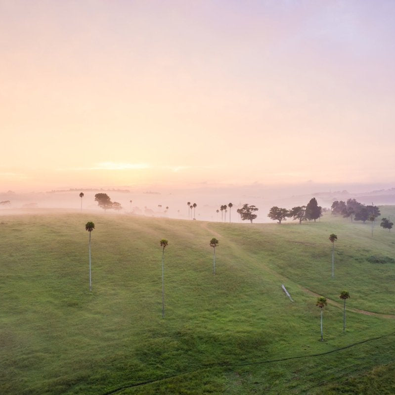 "Misty Morning Echoes" Photography Print - Belinda Doyle - Australian Photographer & Resin Artist