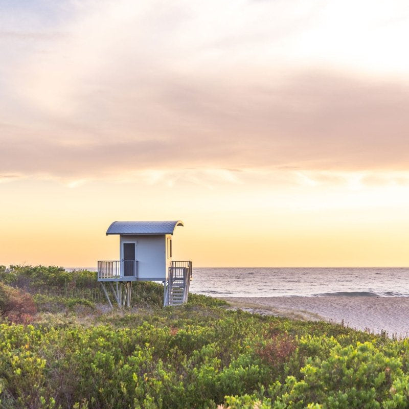 "Guarding the Dawn" Photography Print - Belinda Doyle - Australian Photographer & Resin Artist