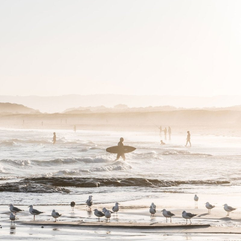 Port Kembla "Gull Light" Acrylic Block - Belinda Doyle - Australian Photographer & Resin Artist
