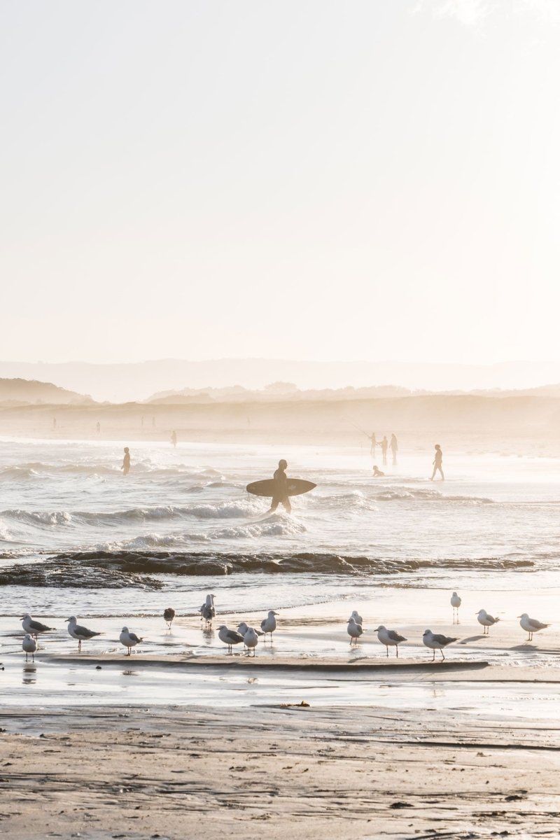 Port Kembla "Gull Light" Acrylic Block - Belinda Doyle - Australian Photographer & Resin Artist