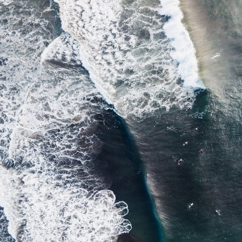"Drama Break" Photography Print - Belinda Doyle - Australian Photographer & Resin Artist