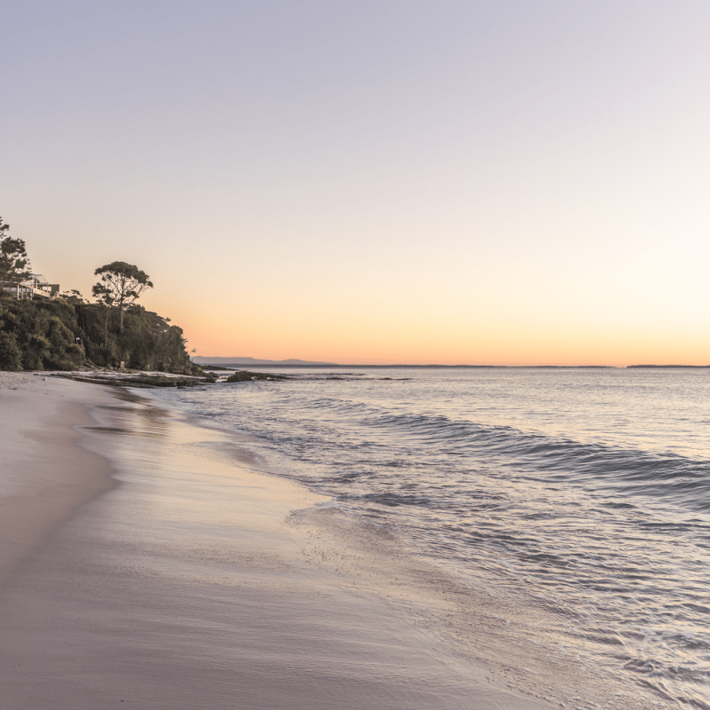 "Hyams Glow" Photography Print - Belinda Doyle - Australian Photographer & Resin Artist