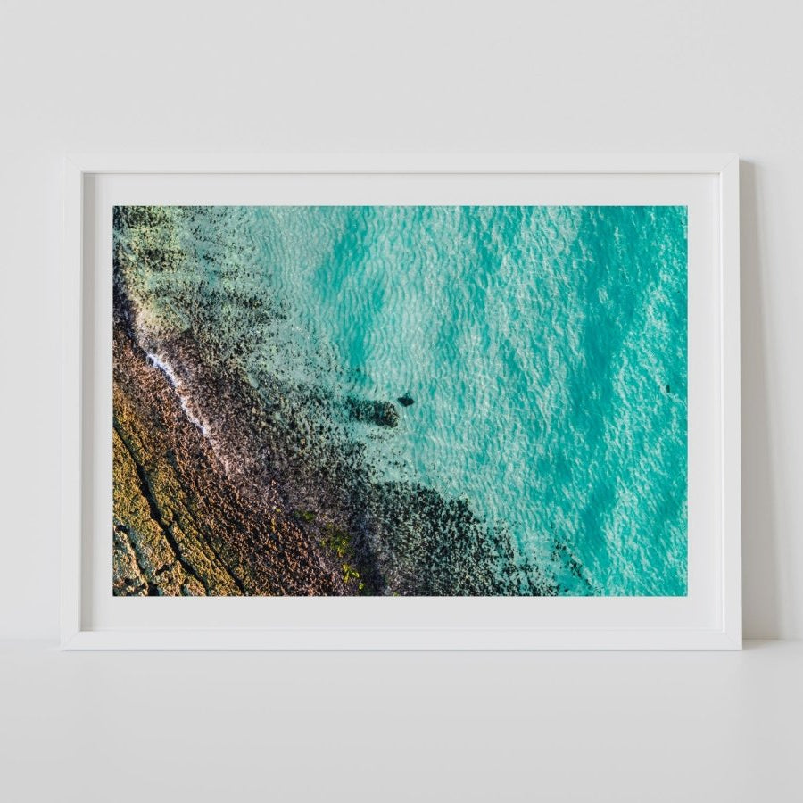 "Lagoon Friend" Photography Print - Belinda Doyle - Australian Photographer & Resin Artist