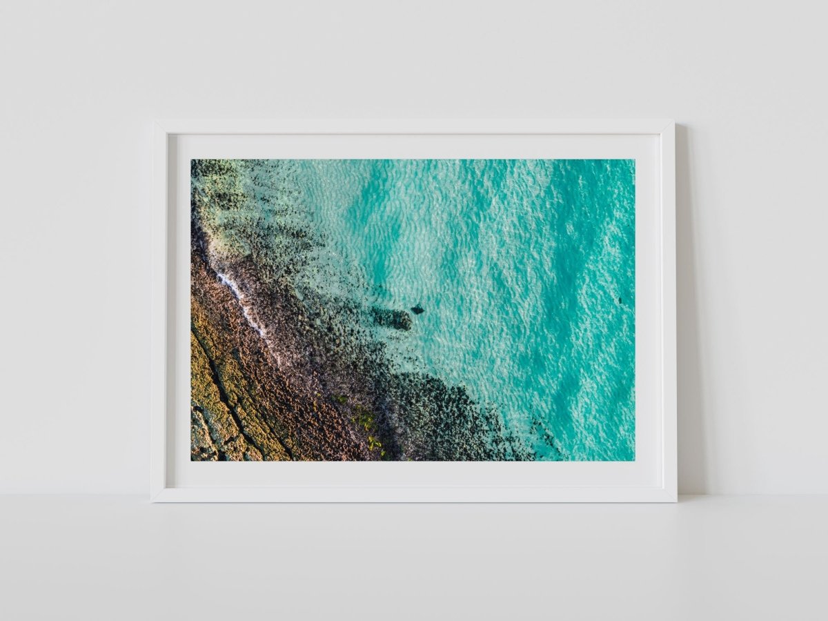"Lagoon Friend" Photography Print - Belinda Doyle - Australian Photographer & Resin Artist