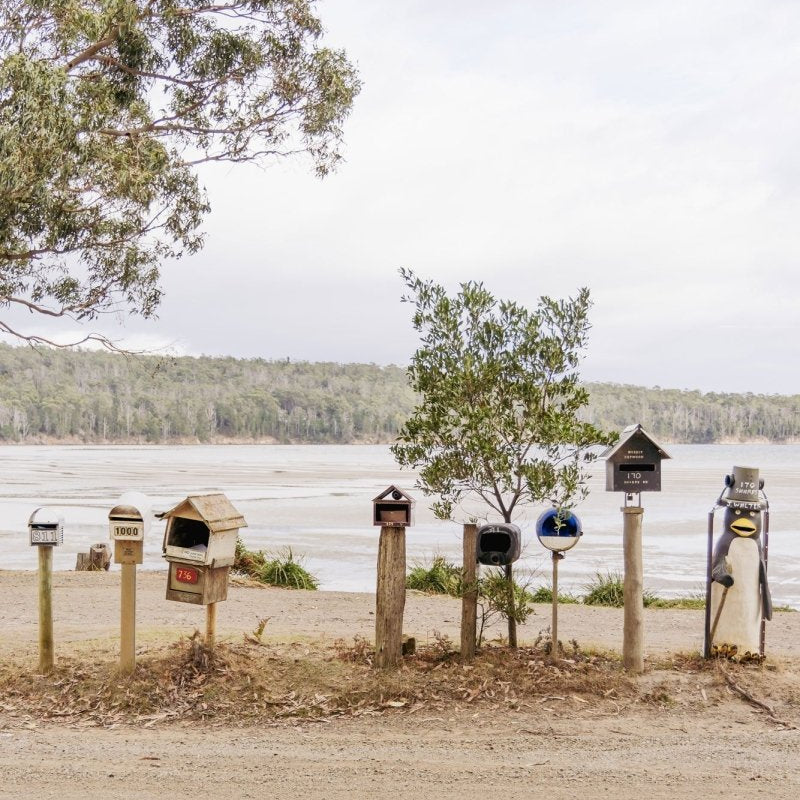 "Letterbox Lineup" Photography Print - Belinda Doyle - Australian Photographer & Resin Artist