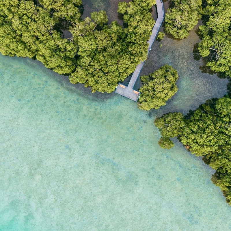 Huskisson "Mangrove Boulevard" Acrylic Block - Belinda Doyle - Australian Photographer & Resin Artist