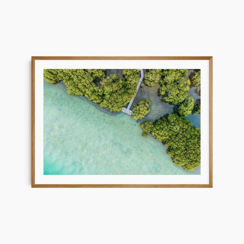 "Mangrove Boulevard" Photography Print - Belinda Doyle - Australian Photographer & Resin Artist