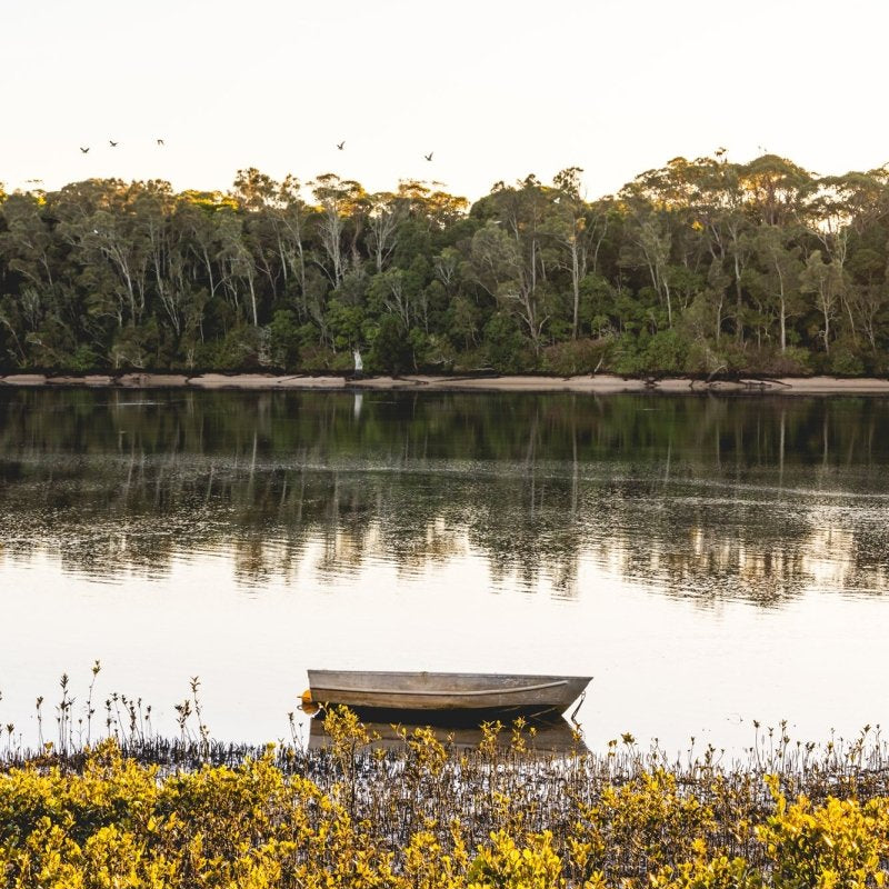 "Mangrove Magic" Photography Print - Belinda Doyle - Australian Photographer & Resin Artist