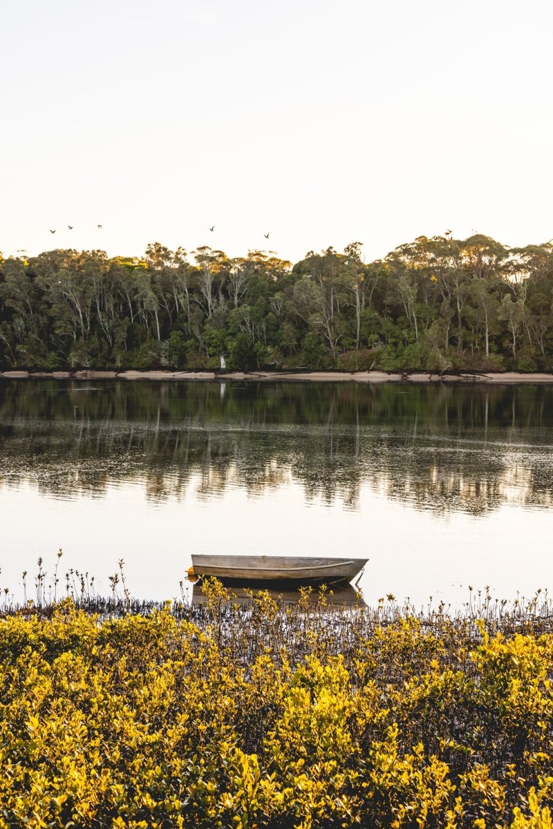 "Mangrove Magic" Photography Print - Belinda Doyle - Australian Photographer & Resin Artist
