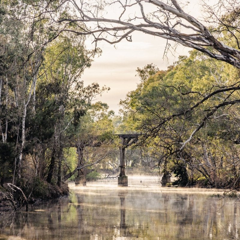 "Misty Remnant" Photography Print - Belinda Doyle - Australian Photographer & Resin Artist