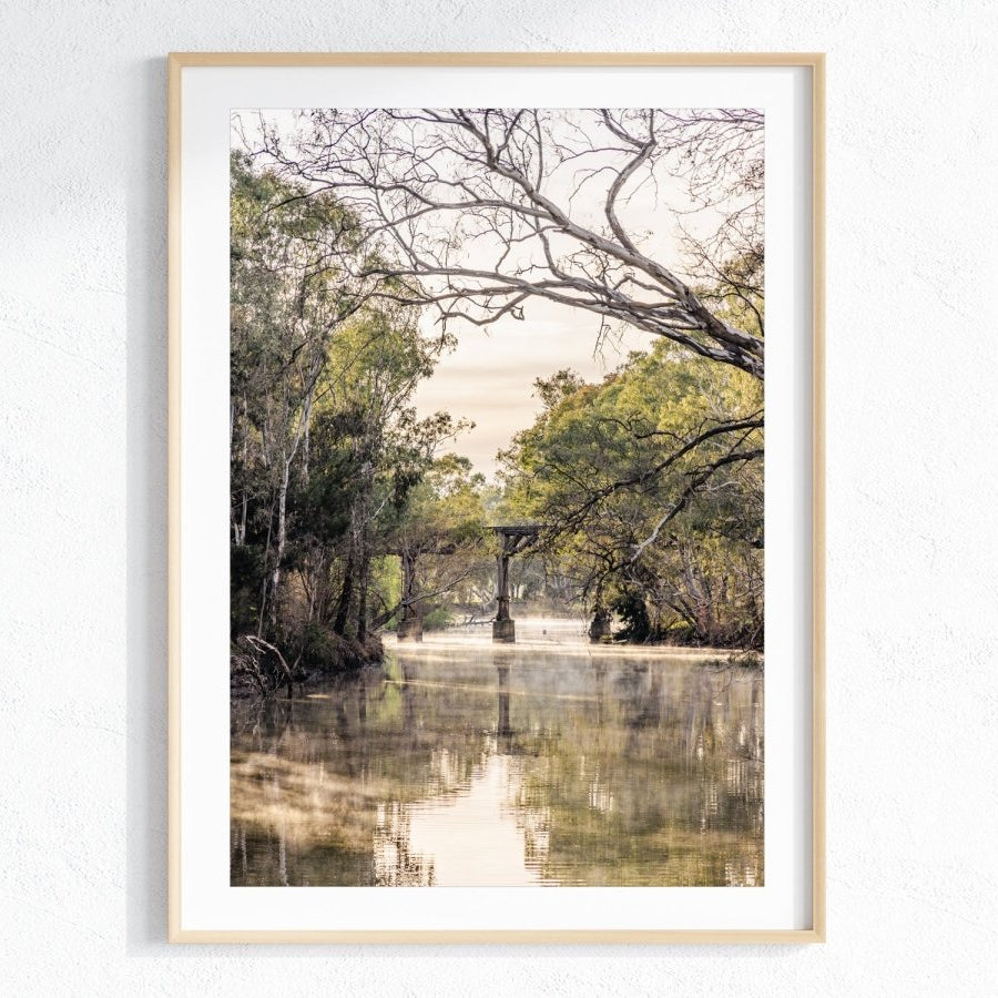 "Misty Remnant" Photography Print - Belinda Doyle - Australian Photographer & Resin Artist