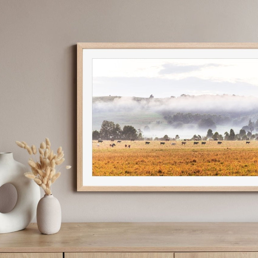 "On the Move" Photography Print - Belinda Doyle - Australian Photographer & Resin Artist