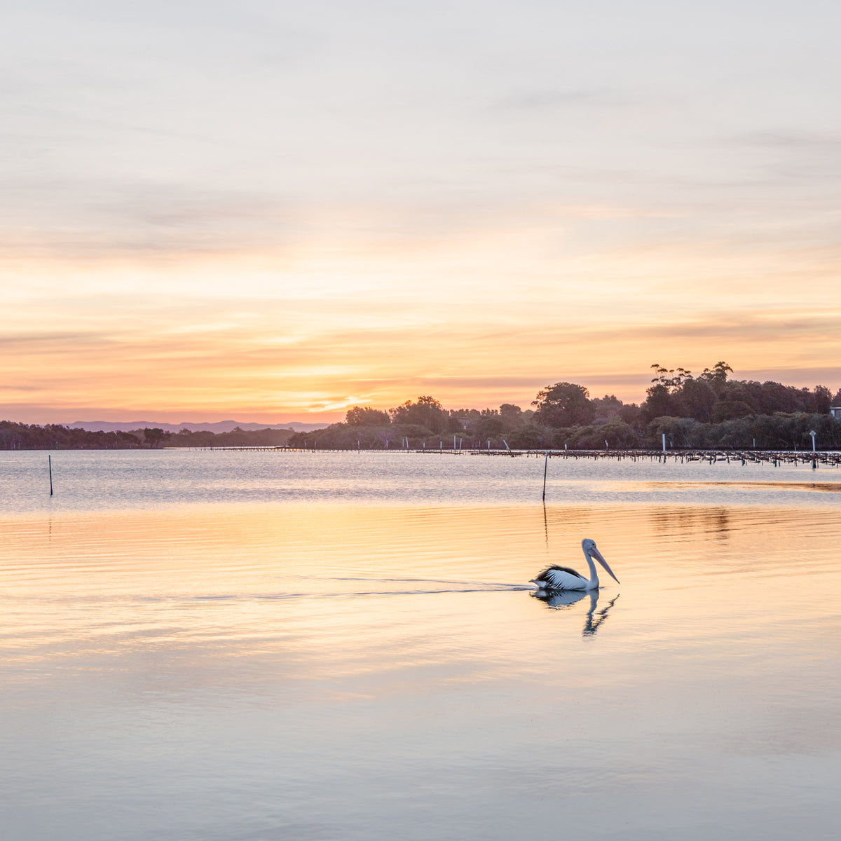 "Oyster Skies" Photography Print - Belinda Doyle - Australian Photographer & Resin Artist