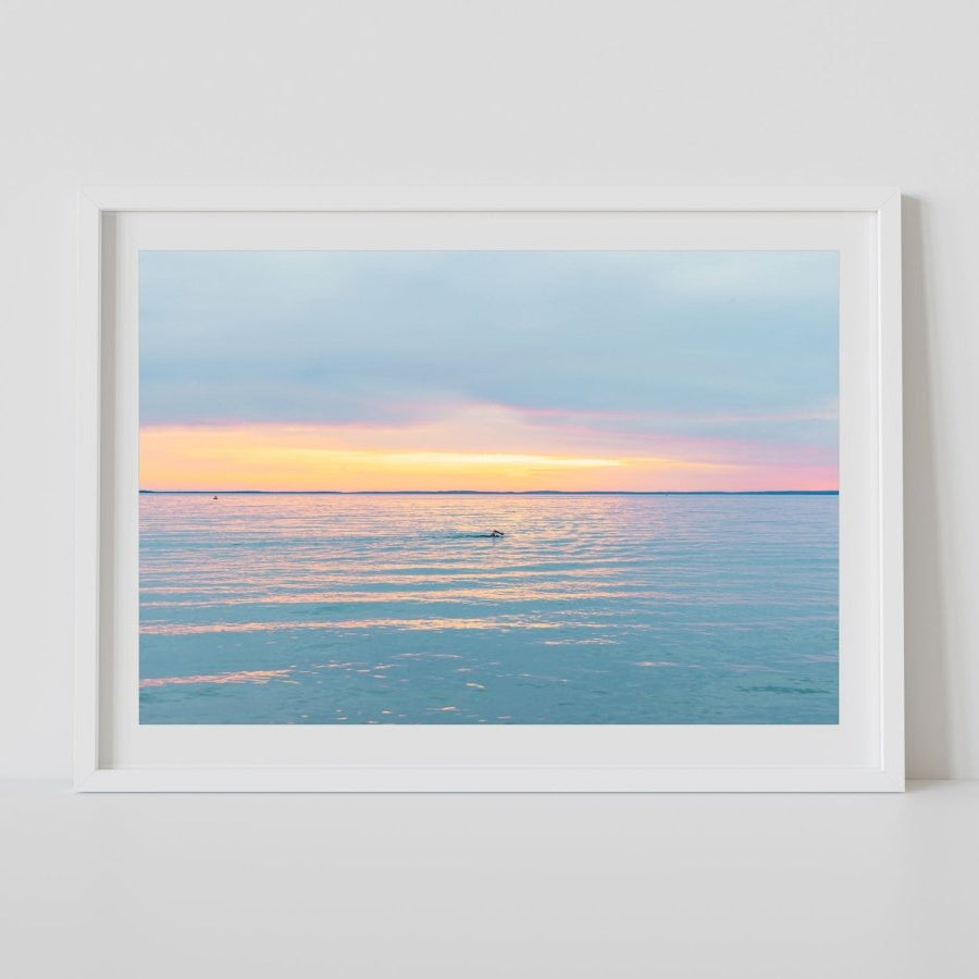 "Pastel Stroke" Photography Print - Belinda Doyle - Australian Photographer & Resin Artist