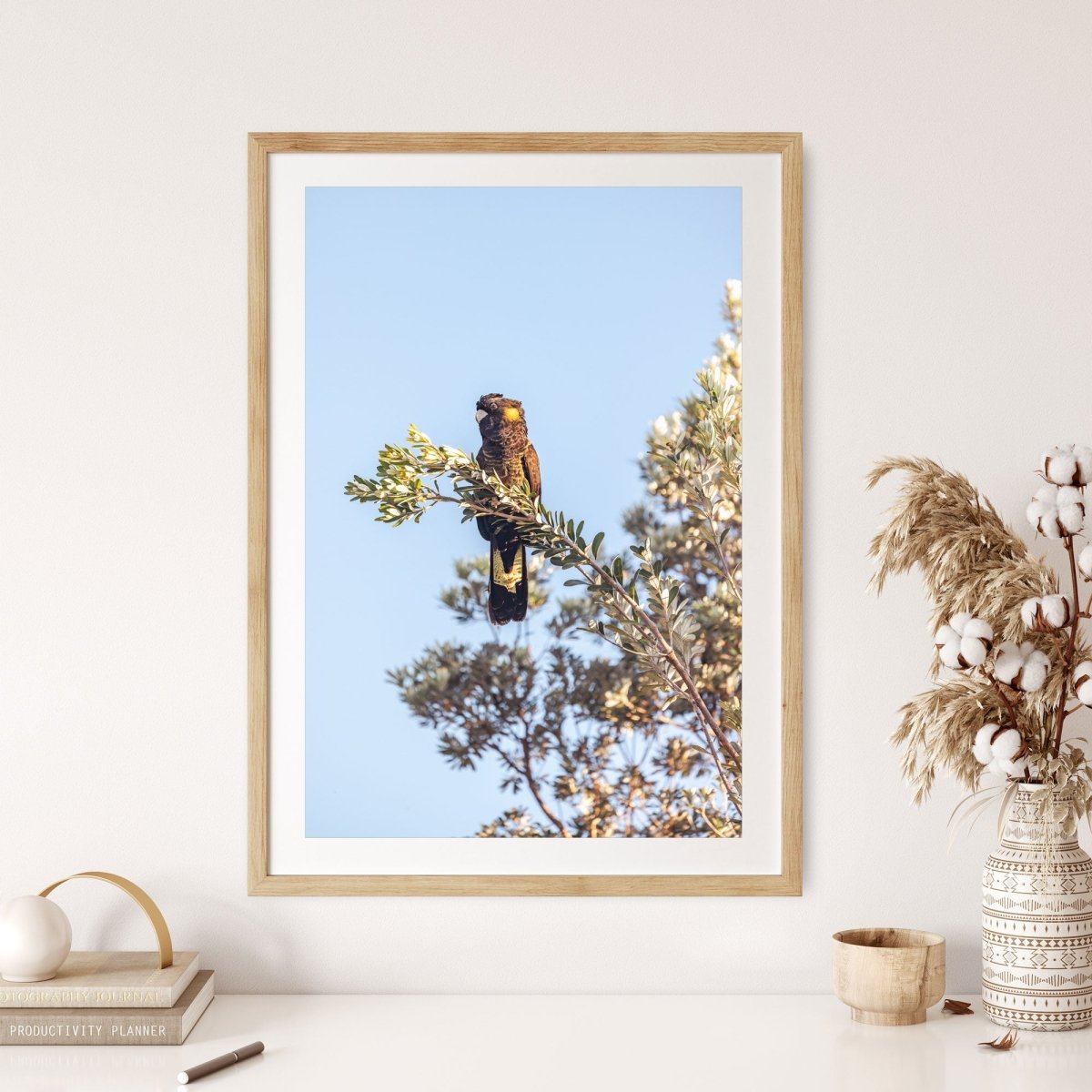 "Perched Bloom" Black Cockatoo Photography Print - Belinda Doyle - Australian Photographer & Resin Artist