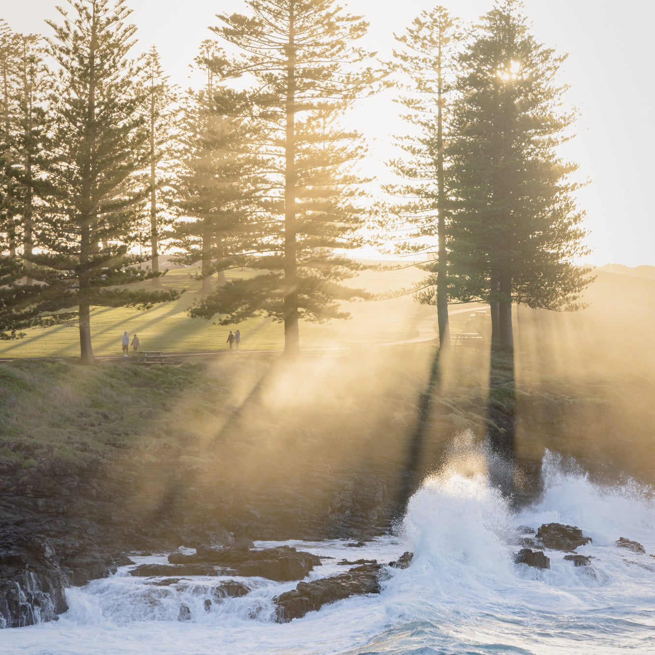 "Rays for Days" (P) Photography Print - Belinda Doyle - Australian Photographer & Resin Artist