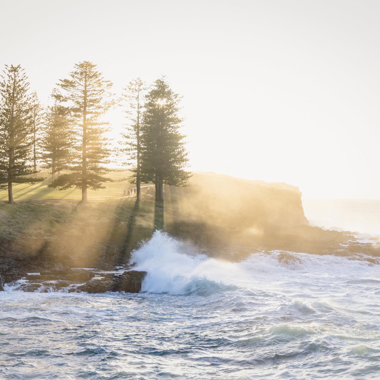 "Rays for Days" Photography Print - Belinda Doyle - Australian Photographer & Resin Artist