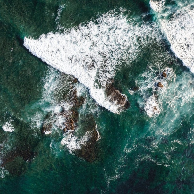 "Reef Textures" Photography Print - Belinda Doyle - Australian Photographer & Resin Artist