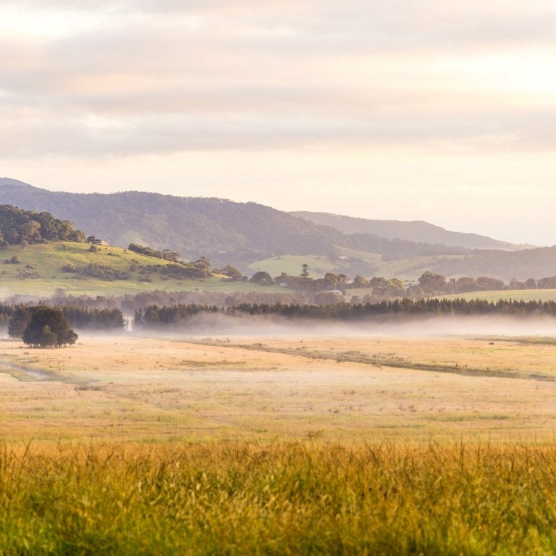 Berry "Rural Reverie" Acrylic Block - Belinda Doyle - Australian Photographer & Resin Artist