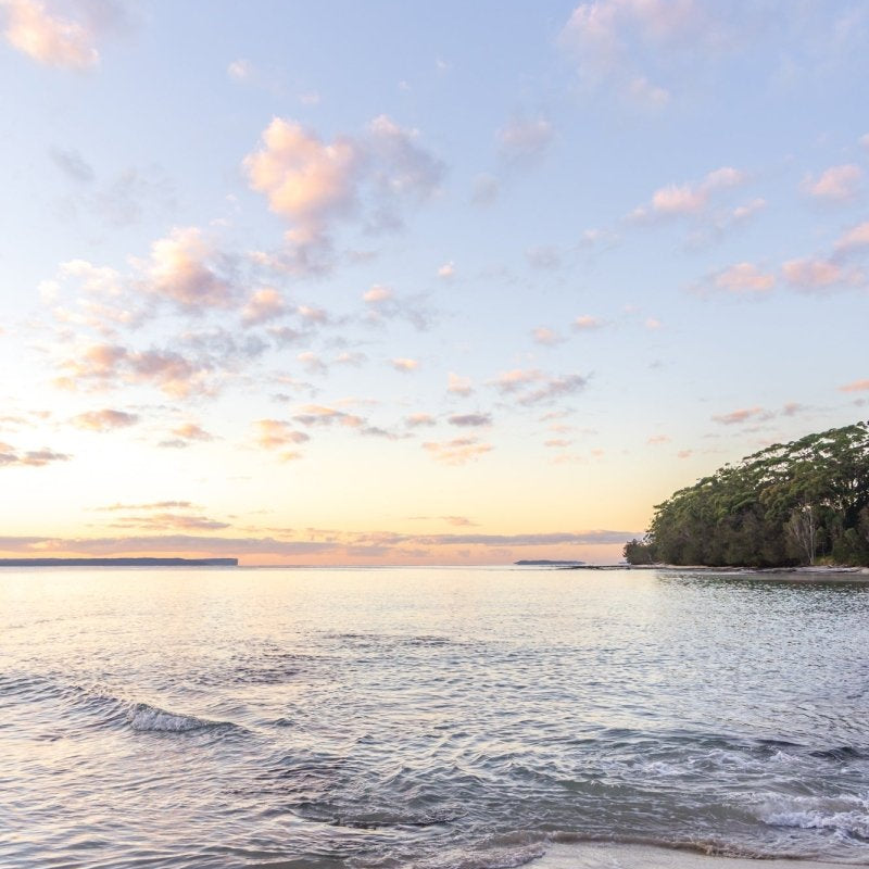 "Shark Net Sunrise" (P) Photography Print - Belinda Doyle - Australian Photographer & Resin Artist