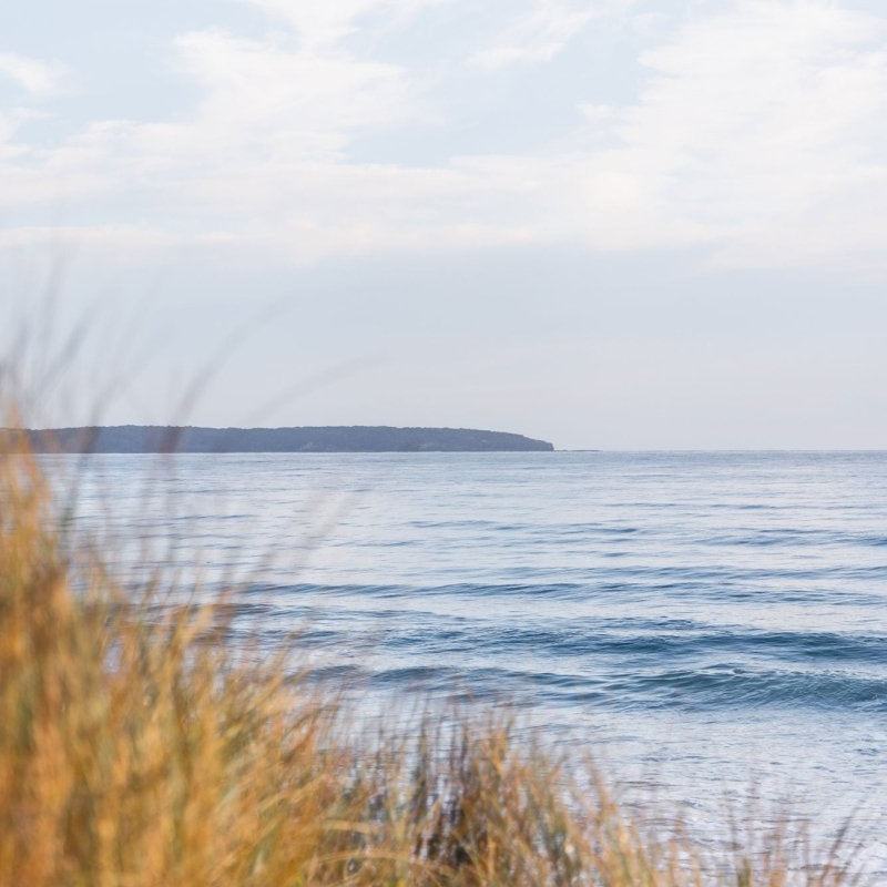 "Simple Point" Photography Print - Belinda Doyle - Australian Photographer & Resin Artist