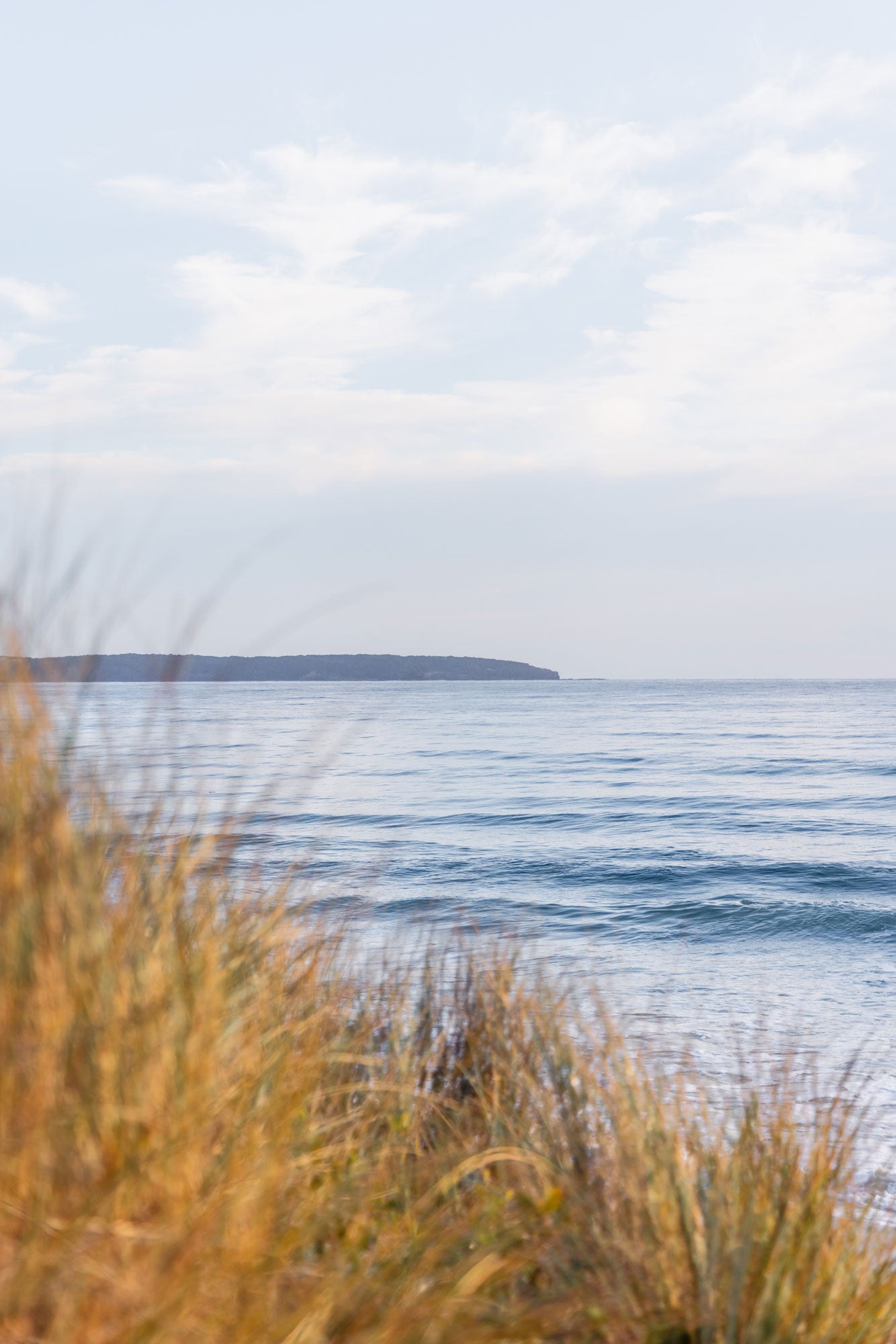 "Simple Point" Photography Print - Belinda Doyle - Australian Photographer & Resin Artist