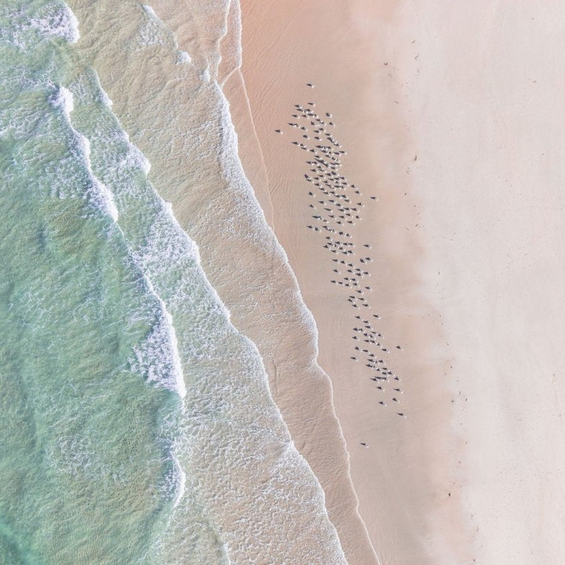 "Soft Landing" Photography Print - Belinda Doyle - Australian Photographer & Resin Artist