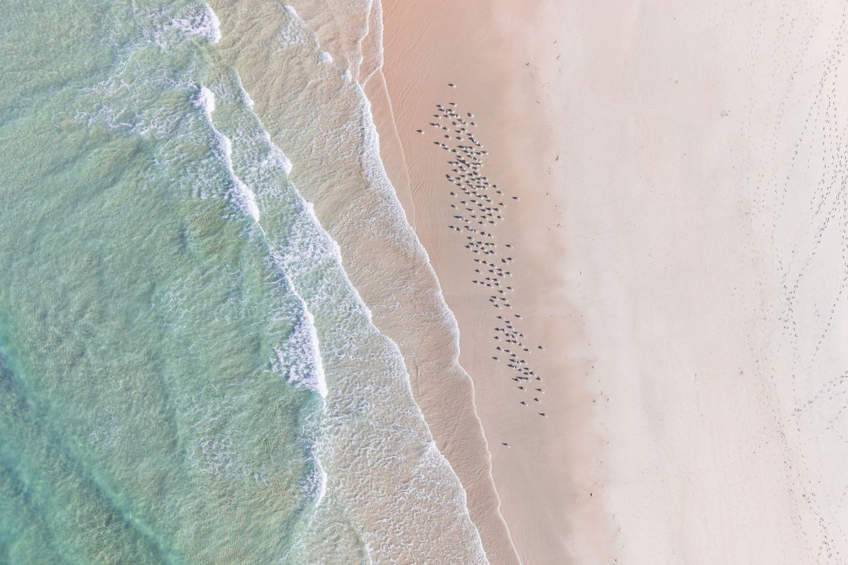 "Soft Landing" Photography Print - Belinda Doyle - Australian Photographer & Resin Artist