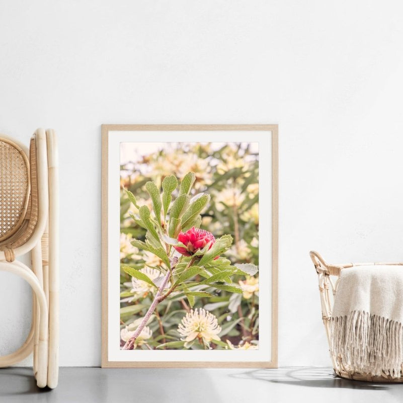 "Soft Strength" Photography Print - Belinda Doyle - Australian Photographer & Resin Artist