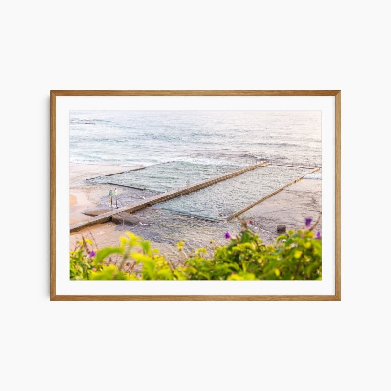 "Solo Arrangement" Photography Print - Belinda Doyle - Australian Photographer & Resin Artist