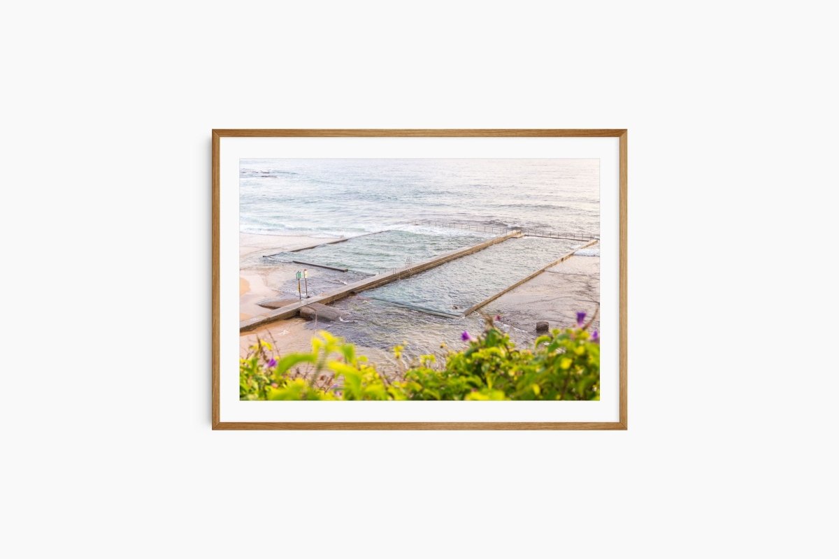 "Solo Arrangement" Photography Print - Belinda Doyle - Australian Photographer & Resin Artist