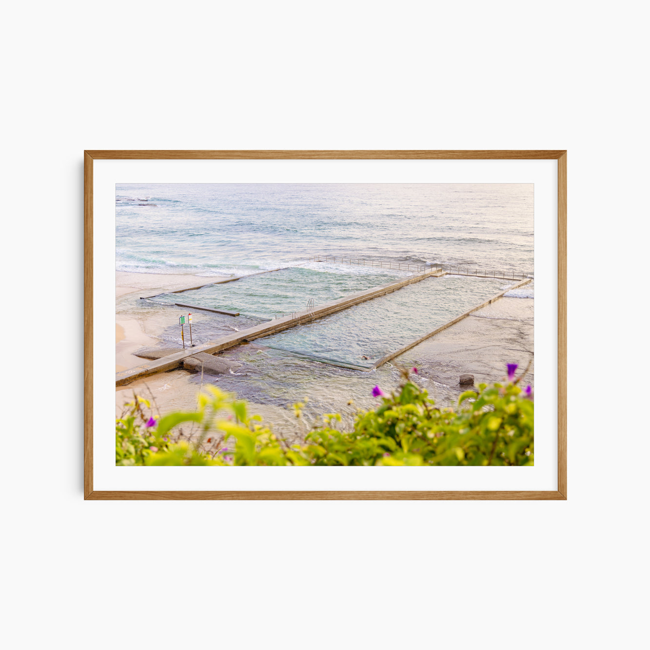 "Solo Arrangement" Photography Print - Belinda Doyle - Australian Photographer & Resin Artist