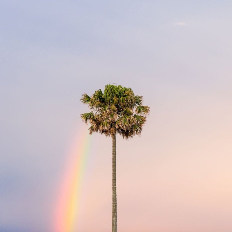 "South Coast Serendipity" Photography Print - Belinda Doyle - Australian Photographer & Resin Artist