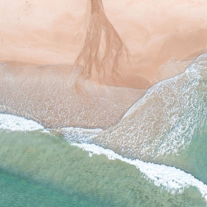 "Spring Creek Sprout" Photography Print - Belinda Doyle - Australian Photographer & Resin Artist