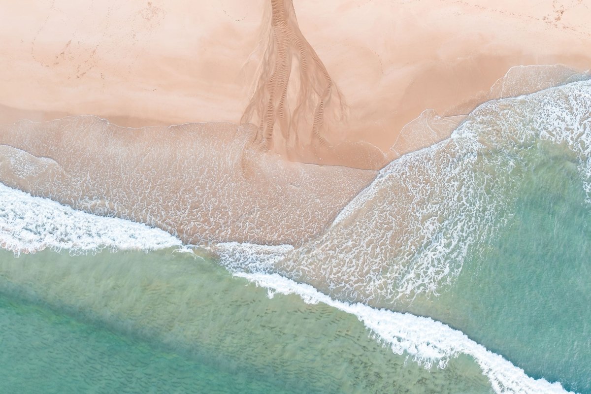 "Spring Creek Sprout" Photography Print - Belinda Doyle - Australian Photographer & Resin Artist