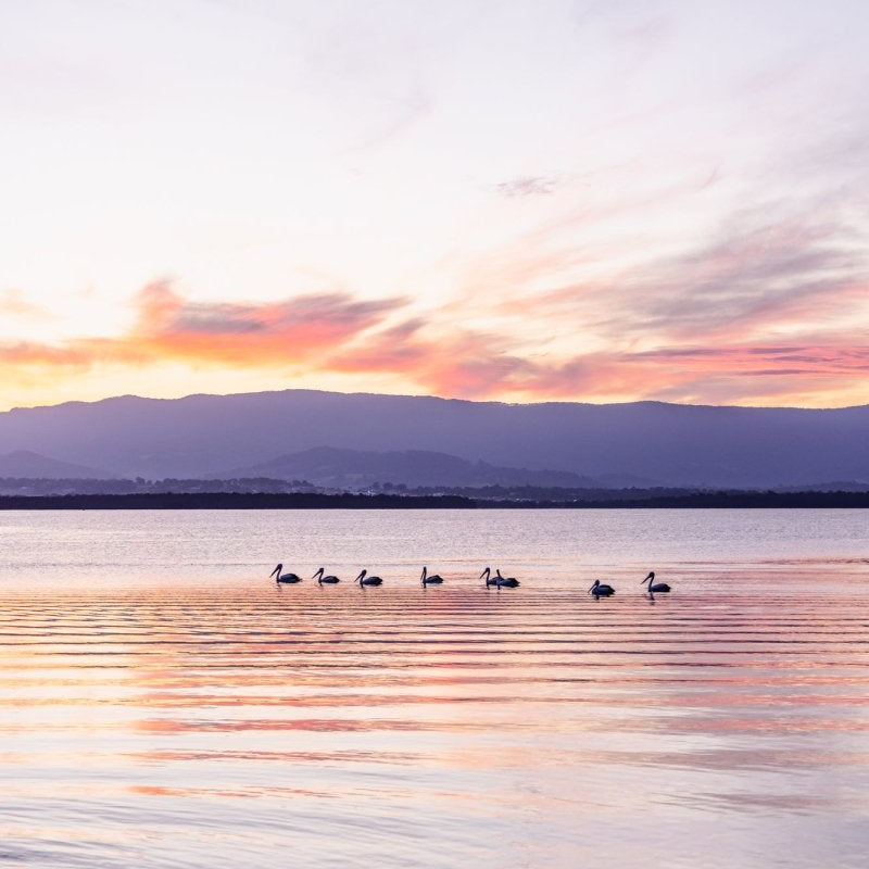 "Sundown Stillness" (P) Photography Print - Belinda Doyle - Australian Photographer & Resin Artist