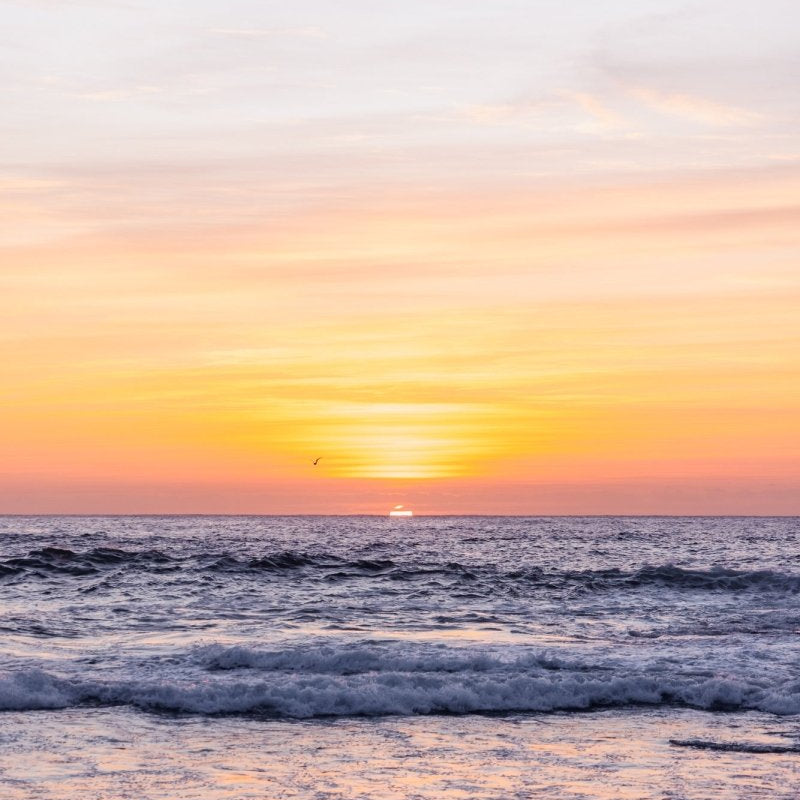 "Surf Beach Sunshine" (P) Photography Print - Belinda Doyle - Australian Photographer & Resin Artist