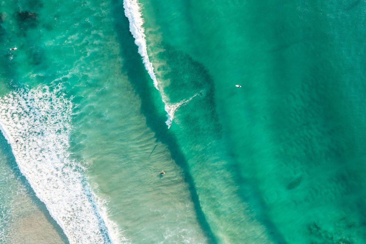 "Surfing the Bait Ball" Photography Print - Belinda Doyle - Australian Photographer & Resin Artist