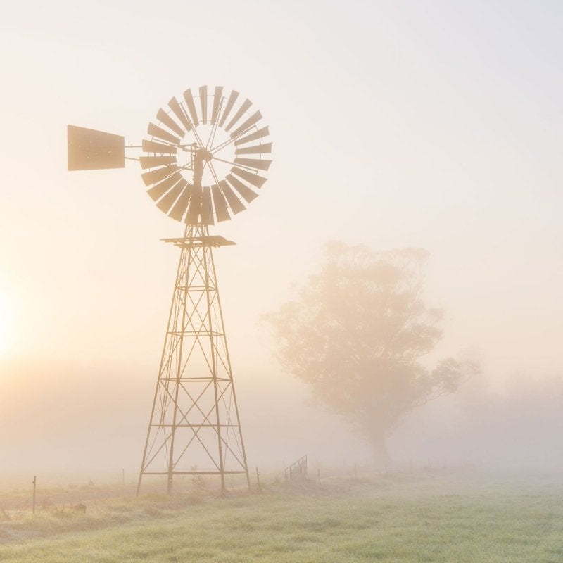 "Swamp Glow" Photography Print - Belinda Doyle - Australian Photographer & Resin Artist
