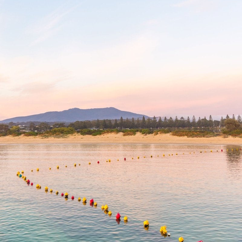 "Swim Zone" Photography Print - Belinda Doyle - Australian Photographer & Resin Artist