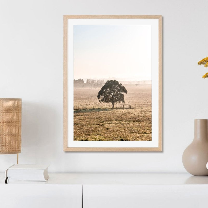 "The Farm Gate" Photography Print - Belinda Doyle - Australian Photographer & Resin Artist