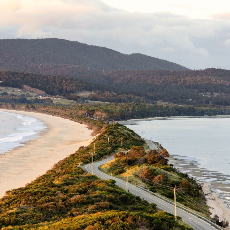 "The Neck" Photography Print - Belinda Doyle - Australian Photographer & Resin Artist