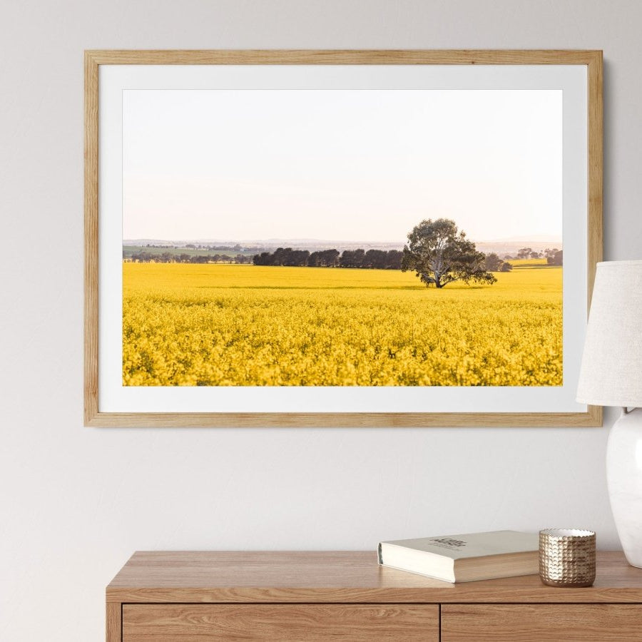 "The Radiant Stand" (L) Photography Print - Belinda Doyle - Australian Photographer & Resin Artist