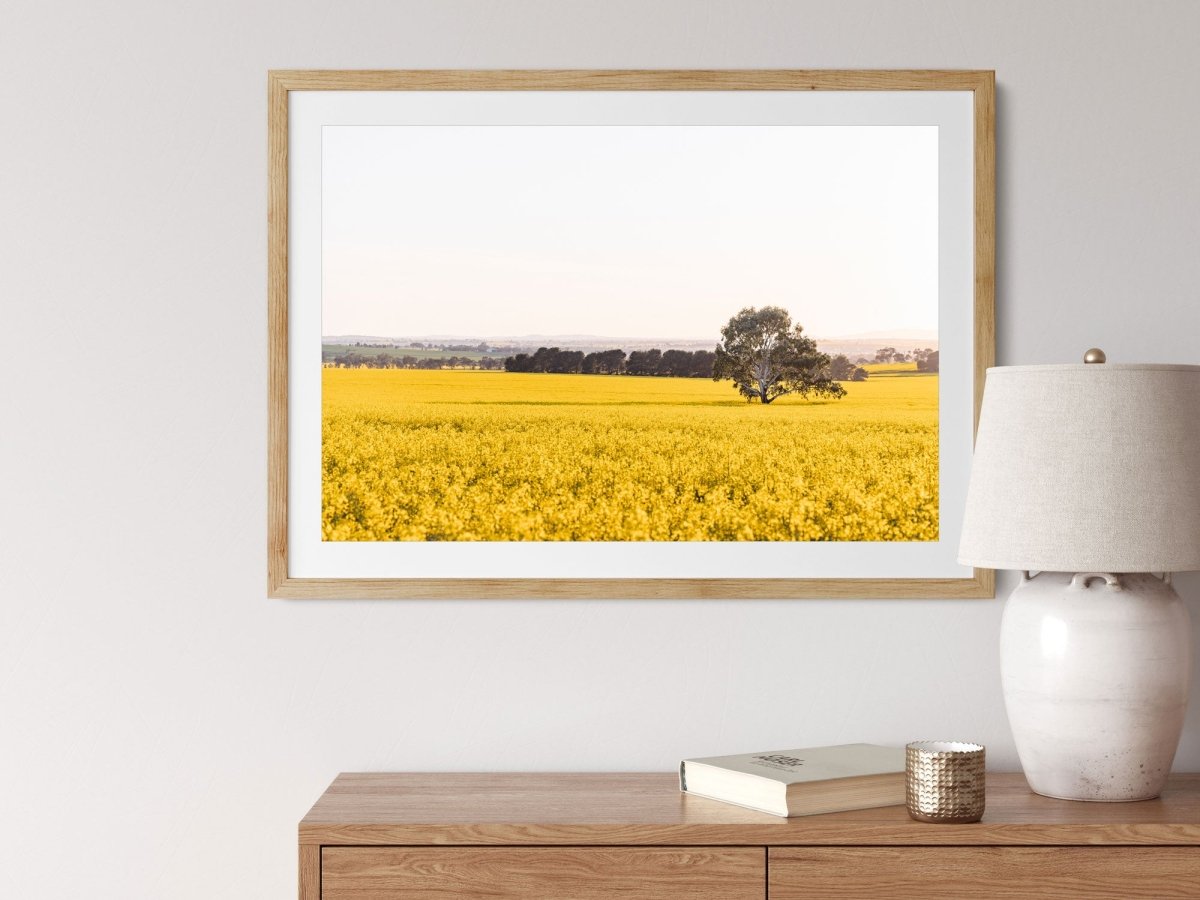 "The Radiant Stand" (L) Photography Print - Belinda Doyle - Australian Photographer & Resin Artist