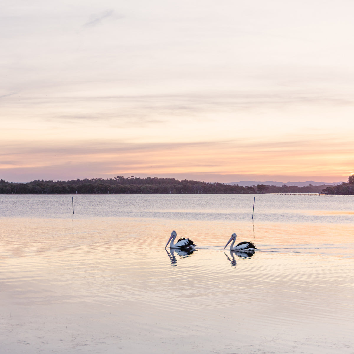 "Together at Twilight" Photography Print - Belinda Doyle - Australian Photographer & Resin Artist