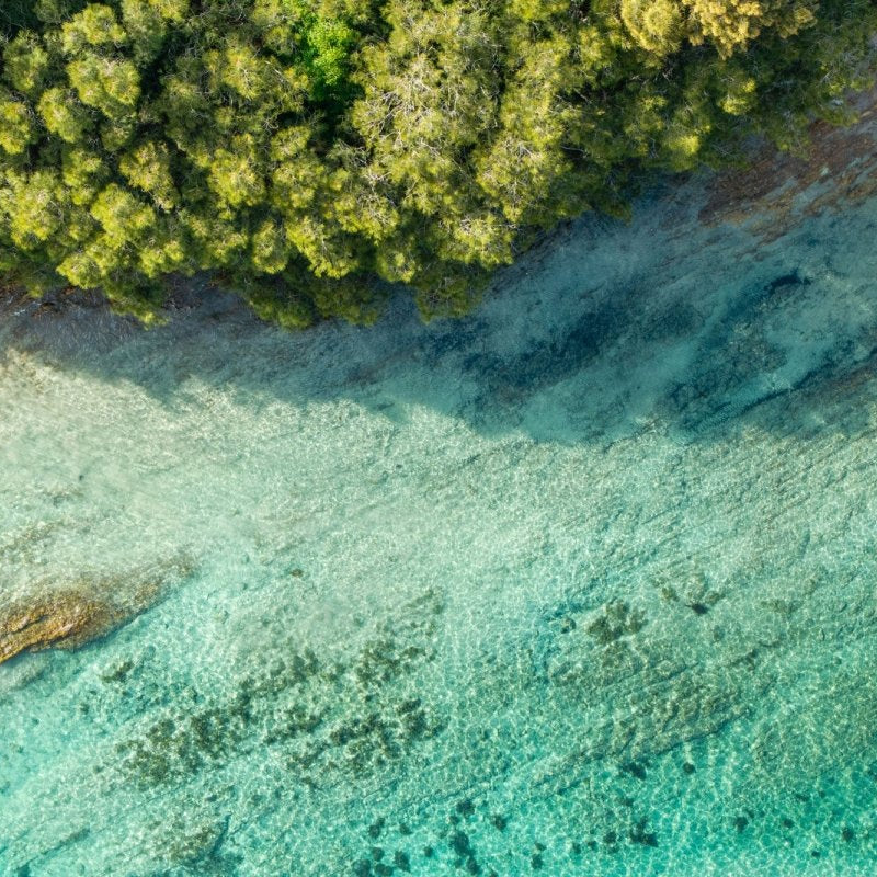 Mossy Point "Top Down Tones" Acrylic Block - Belinda Doyle - Australian Photographer & Resin Artist